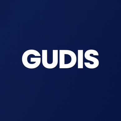 gudis international limited gudis international limited